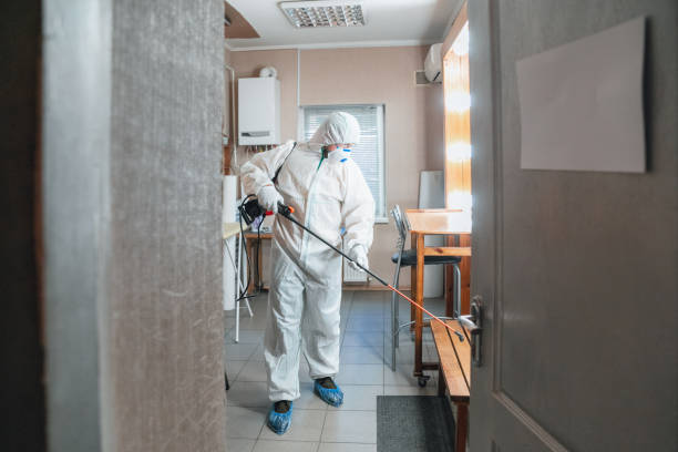 Environmental Consulting for Mold Prevention in Franklin Park, NJ
