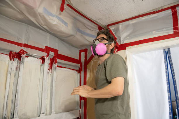  Franklin Park, NJ Mold Removal Pros