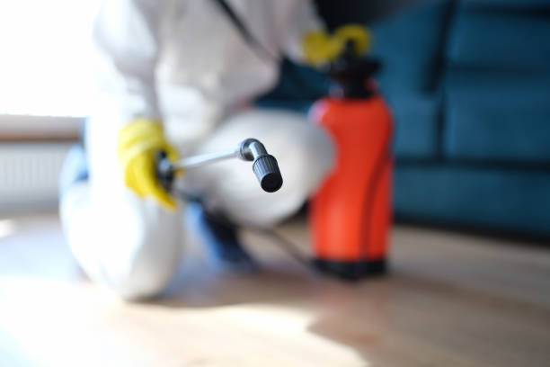 Best Mold Prevention Services  in Franklin Park, NJ