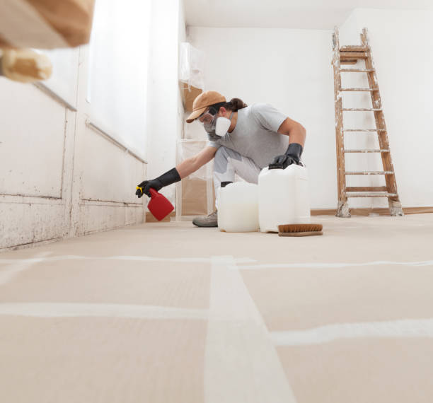 Best Dehumidification Services  in Franklin Park, NJ