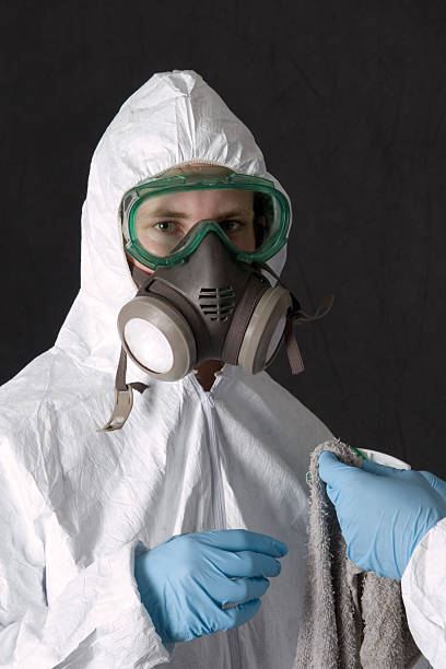 Best Industrial Mold Remediation  in Franklin Park, NJ